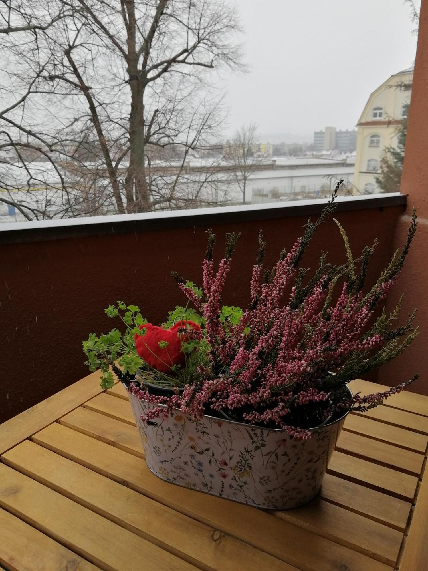 Fewo Lichtblick Bautzen Exteriör bild